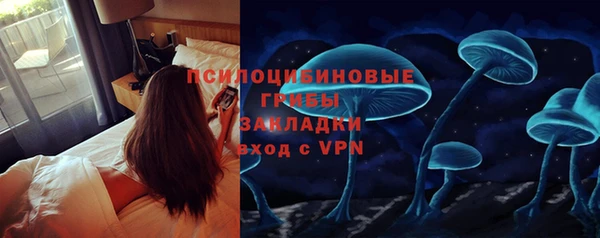 apvp Арсеньев