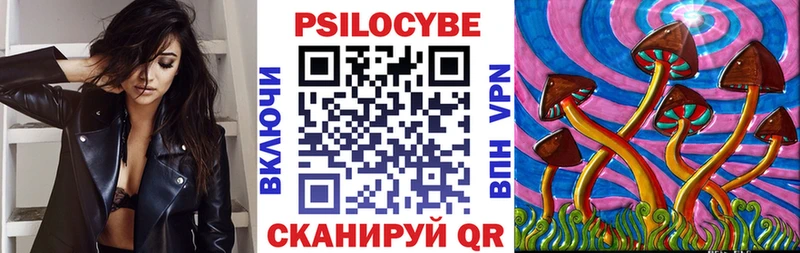 Купить где Себеж Псилоцибиновые грибы Cubensis
